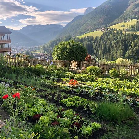 Sule Hof Agriturismo 奥蒂塞伊 外观 照片