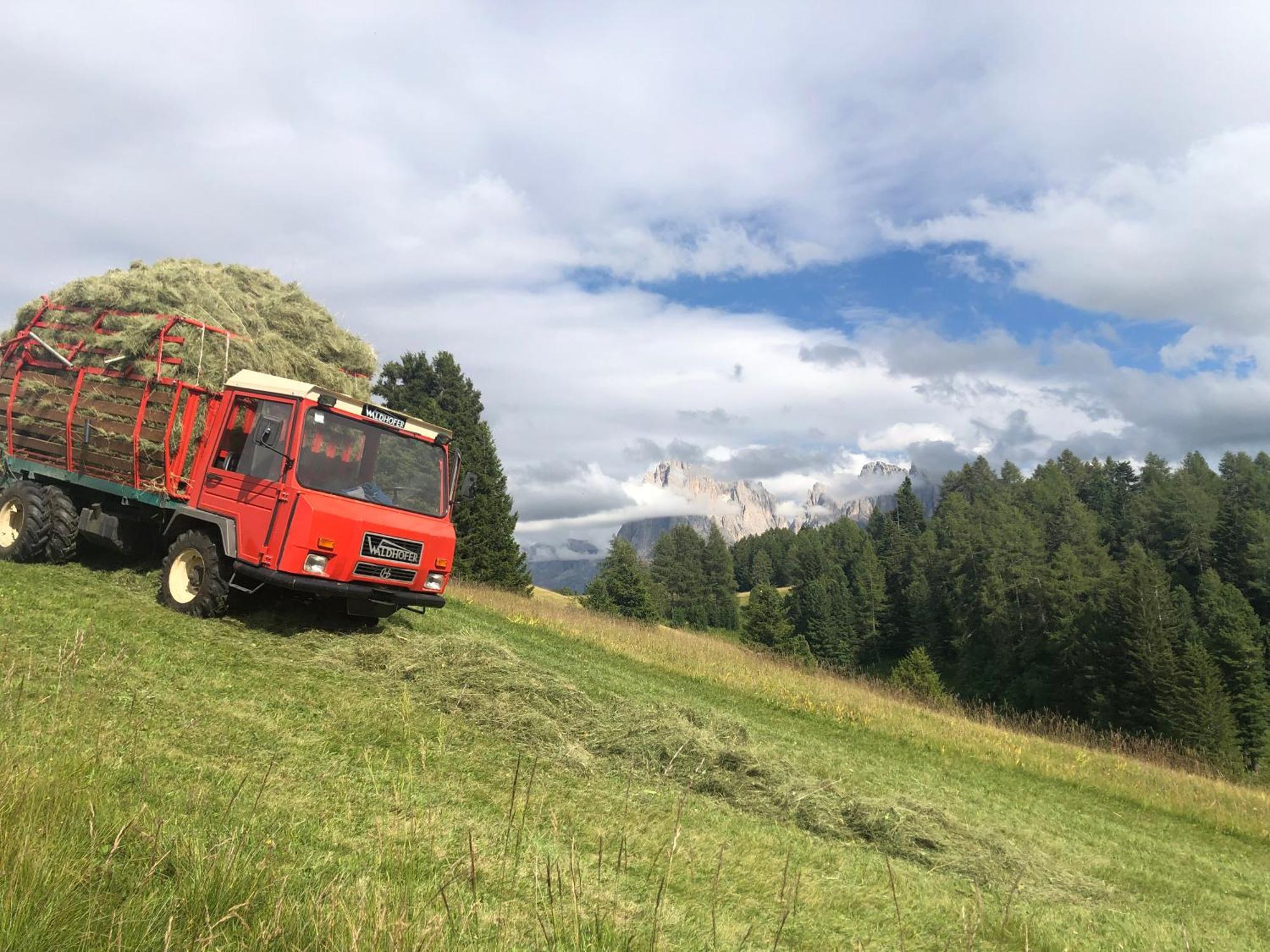 Sule Hof Agriturismo 奥蒂塞伊 外观 照片