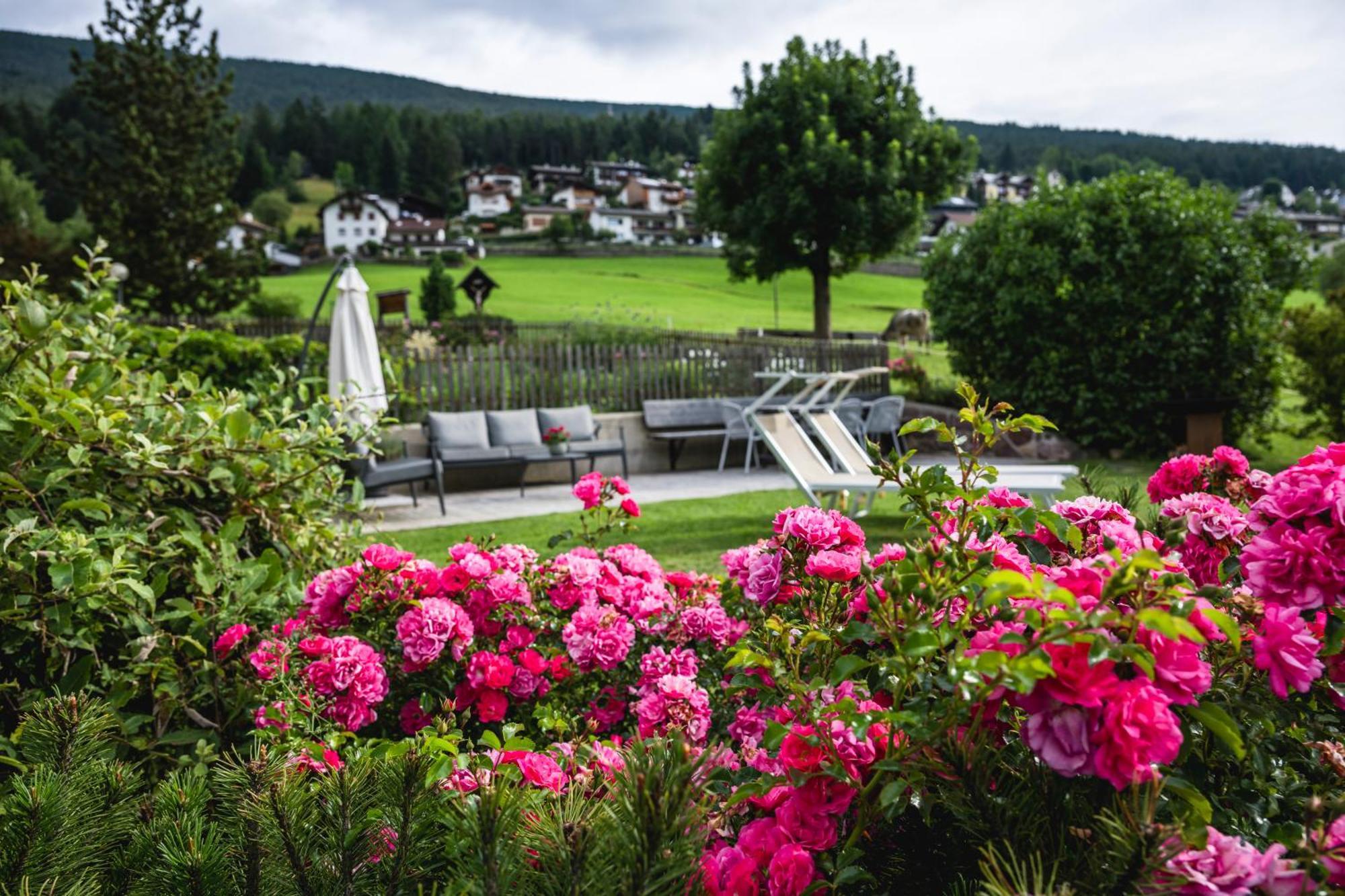 Sule Hof Agriturismo 奥蒂塞伊 外观 照片